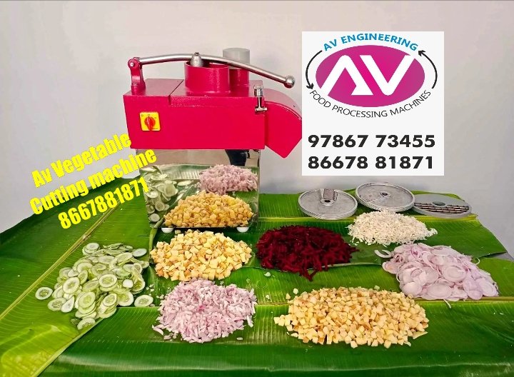India’s Trusted Vegetable Cutting Machine Manufacturer – AV Engineering